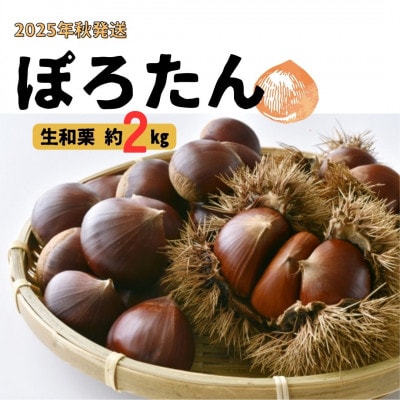 【9月中旬発送】 生栗「ぽろたん」約2kg
