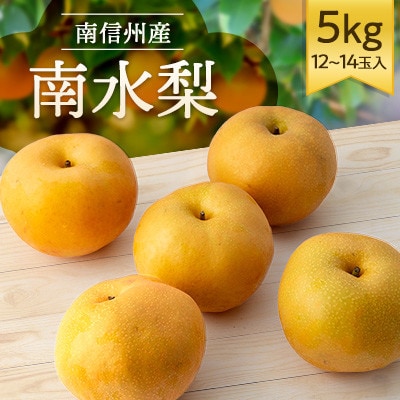 【南信州産】南水梨5kg　12～14玉入り