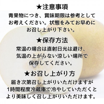【南信州産】南水梨5kg　12～14玉入り