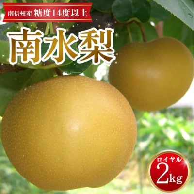 【南信州産】南水梨約2kg 5～6玉入り 糖度14度以上 <9月中旬より発送>