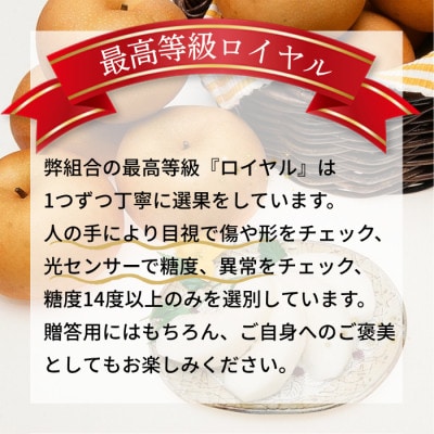 【南信州産】南水梨約2kg 5～6玉入り 糖度14度以上 <9月中旬より発送>