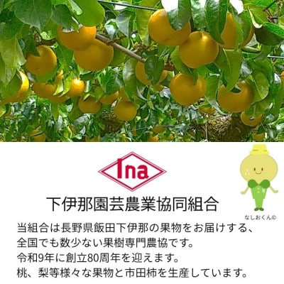 【南信州産】南水梨約2kg 5～6玉入り 糖度14度以上 <9月中旬より発送>