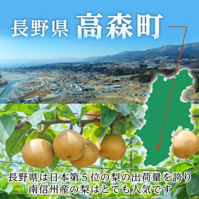 【南信州産】南水梨約2kg 5～6玉入り 糖度14度以上 <9月中旬より発送>