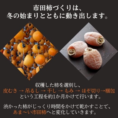 【年内発送】南信州産GI登録商品【市田柿】 約170g×4袋 [2026年12月中旬～発送予定]