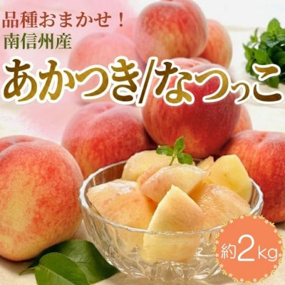 南信州産「桃」あかつき/なつっこ 約2kg 5～9玉 品種おまかせ〈2027年7月下旬より発送〉