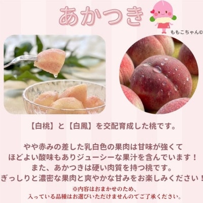南信州産「桃」あかつき/なつっこ 約3kg 8～12玉 品種おまかせ〈2027年7月下旬より発送〉