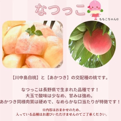 南信州産「桃」あかつき/なつっこ 約3kg 8～12玉 品種おまかせ〈2027年7月下旬より発送〉