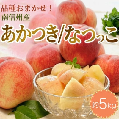 南信州産「桃」あかつき/なつっこ 約5kg 12～18玉 品種おまかせ〈2027年7月下旬より発送〉