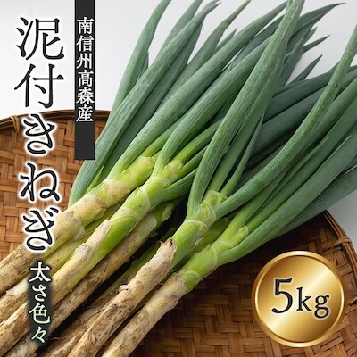 【南信州高森町産】泥付きねぎ5kg　太さ色々