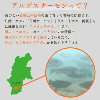 【南信州産】アルプスサーモン(ブロック) 200g×4袋
