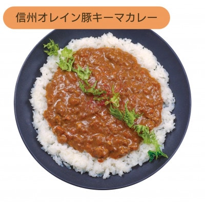 南信州仕立て9種のカレーセット