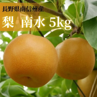 【数量限定】南水梨　5kg　2023年9月下旬より順次発送予定