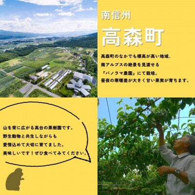 【南信州高森産】梨(豊水)5kg <9月中旬より順次発送>