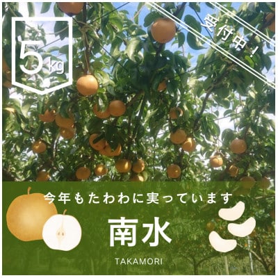 【南信州高森産】梨(南水)5kg <9月下旬より順次発送>
