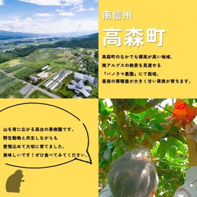 【南信州高森産】梨(南水)5kg ＜9月下旬より順次発送＞