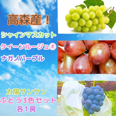 太陽サンサン ぶどう3色セット 各1房<9月上旬より発送>