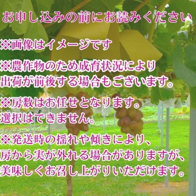 【訳あり】クイーンルージュ(R)2kg<2026年8月下旬より発送>