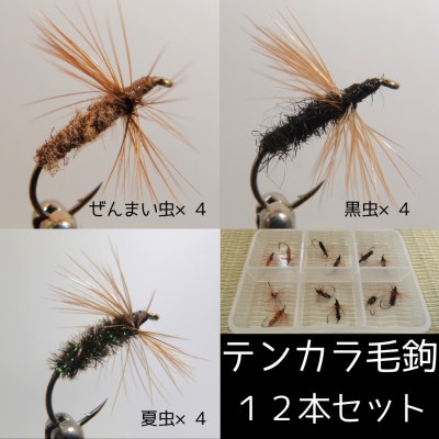 【数量限定】テンカラ毛鉤 3種類×4本セット(ケース入り)