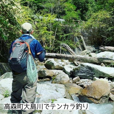 【数量限定】テンカラ毛鉤 3種類×4本セット(ケース入り)