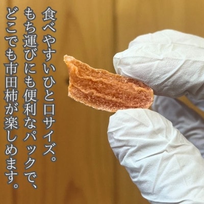 市田柿 柿チップ(100g×3袋)ひとくちサイズ