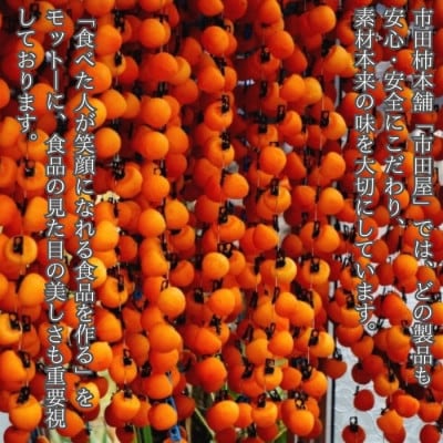 市田柿 柿チップ(100g×3袋)ひとくちサイズ