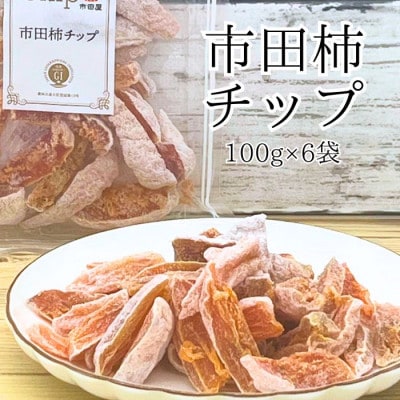 市田柿 柿チップ(100g×6袋)ひとくちサイズ