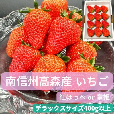 【数量限定】いちご(紅ほっぺ or 章姫) デラックスサイズ 400g以上