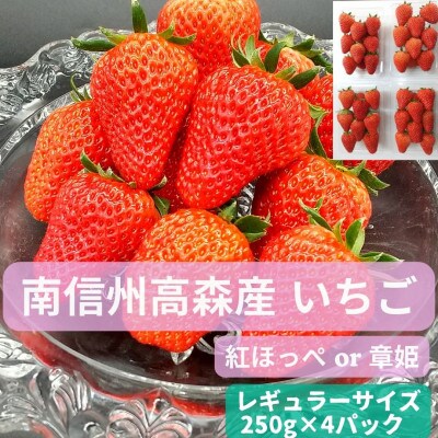 【数量限定】いちご(紅ほっぺ or 章姫) レギュラーサイズ 250g×4パック