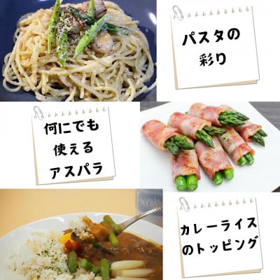 「数量限定」きのした農園の春アスパラガス　<2025年4月中旬より発送開始>