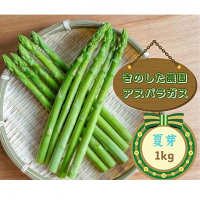 【数量限定】夏のアスパラガス1kg　7月発送開始