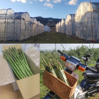 【数量限定】夏のアスパラガス1kg　7月発送開始