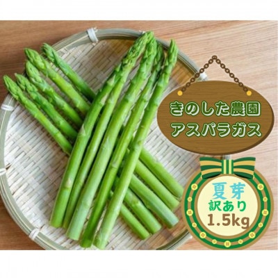 【数量限定】訳ありアスパラガス1.5kg　7月出荷開始