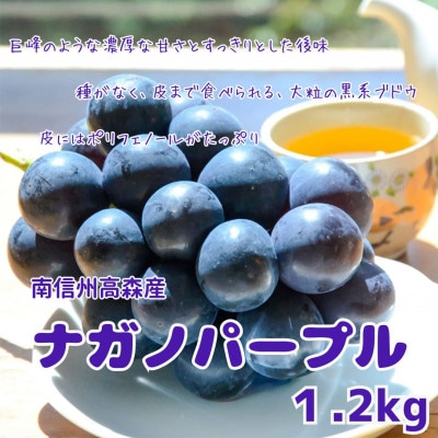【南信州高森産】ナガノパープル 約1.2kg〈8月中旬より発送〉