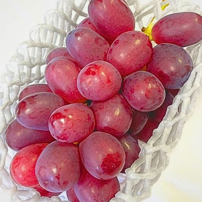 【贈答用ハウス栽培】こだわりのクイーンルージュ(R) 2房1.2kg以上 2026年7月中旬より発送