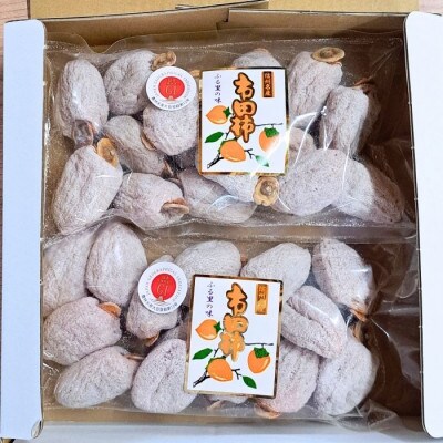 市田柿(秀品) 500g×2袋