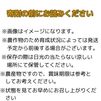 【南信州高森産】梨界の甘さ番長 南水 3kg<9月中旬より発送>