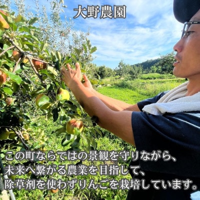 サンふじ 3kg【2027年1月上旬より発送】