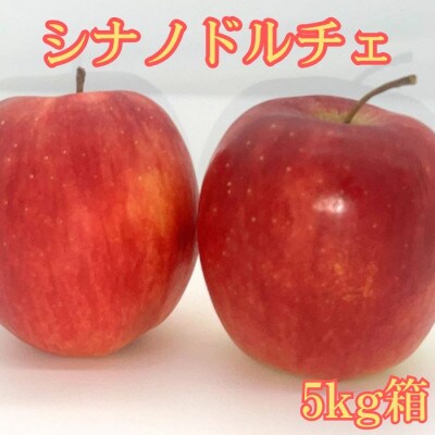 シナノドルチェ 5kg箱【9月下旬より順次発送】