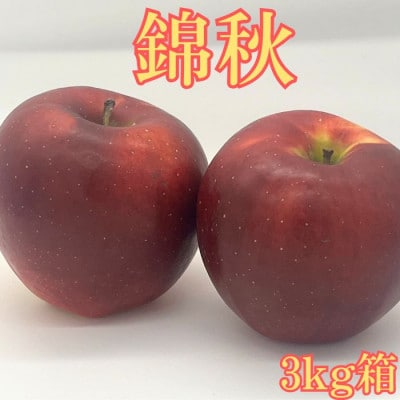 錦秋(きんしゅう) 3kg箱【9月下旬より順次発送】