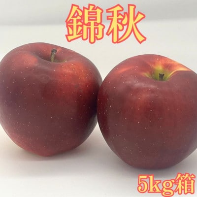 錦秋(きんしゅう) 5kg箱【9月下旬より発送】