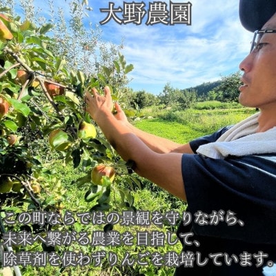 サンふじりんごジュース1L×6本