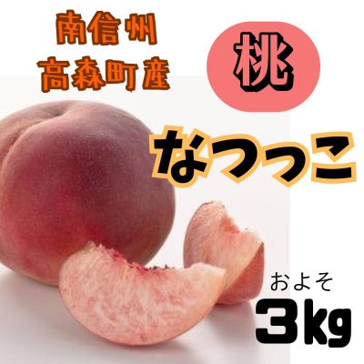 【令和8年予約受付】南信州高森町産 桃 『 なつっこ 』 およそ3kg