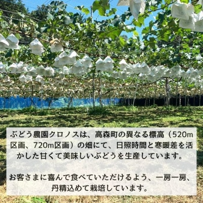 ナガノパープル2kg