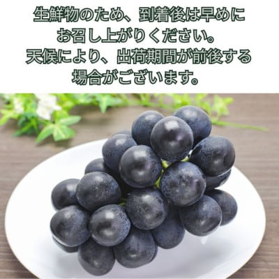 ナガノパープル2kg