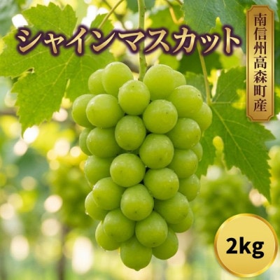 シャインマスカット2kg