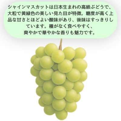シャインマスカット2kg