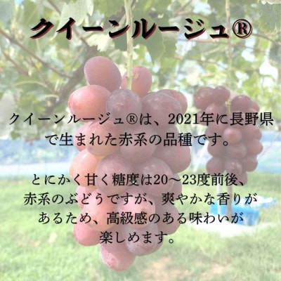訳ありクイーンルージュ(R)2kg