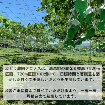 訳ありクイーンルージュ(R)2kg