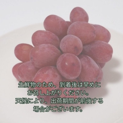 訳ありクイーンルージュ(R)2kg