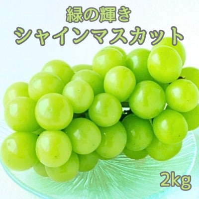 【南信州高森産】緑の輝きシャインマスカット2kg